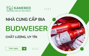 Nhà Cung Cấp Bia Budweiser Uy Tín và Chất Lượng