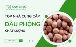 TOP nhà cung cấp đậu phộng chất lượng