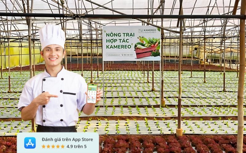 Kamereo cung cấp rau củ quả sạch từ các nông trại Đà Lạt, nổi bật với trang trại 10 hecta đạt chuẩn VietGap