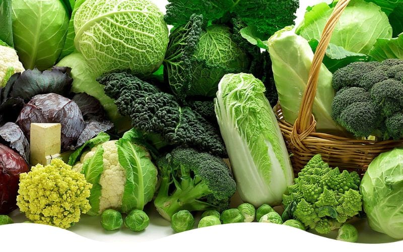 Nhà Xanh cập nhật hàng ngày kèm hình ảnh thực tế, giá hấp dẫn tại Hà Nội