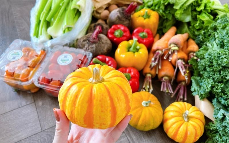 CleverFood: Chuỗi cung ứng thực phẩm sạch, đa dạng nông sản, thủy hải sản