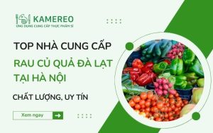 10 địa chỉ bán rau củ quả Đà Lạt tại Hà Nội tươi ngon, giá tốt