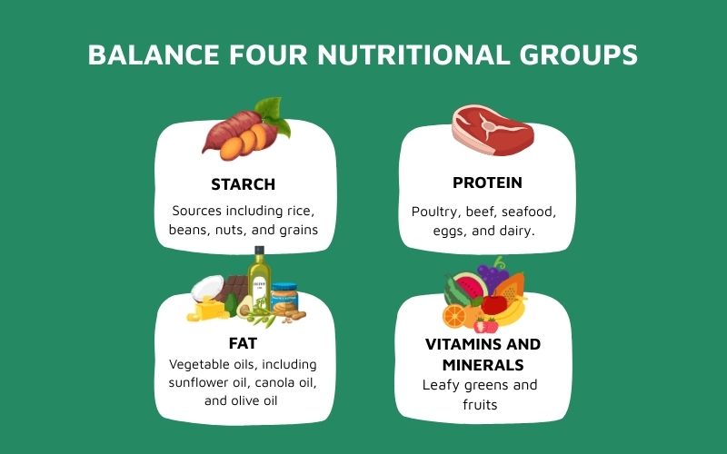 A meal balanced with 4 nutrient groups (carbohydrates, protein, fat, vitamins, and minerals)