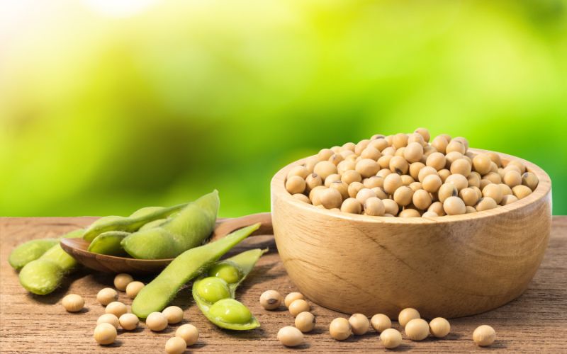 Đậu nành cung cấp protein thực vật, sắt, vitamin, khoáng chất và chất béo không bão hòa