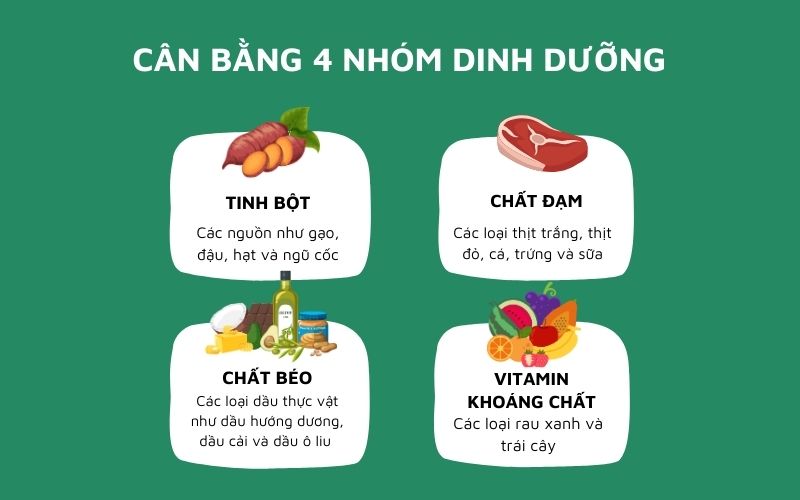 Bữa ăn cân bằng 4 nhóm dinh dưỡng (tinh bột, chất đạm, chất béo, vitamin và khoáng chất)