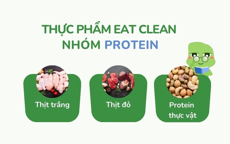 Thực phẩm Eat Clean nhóm protein đa dạng, đóng vai trò quan trọng trong cấu trúc và chức năng cơ thể