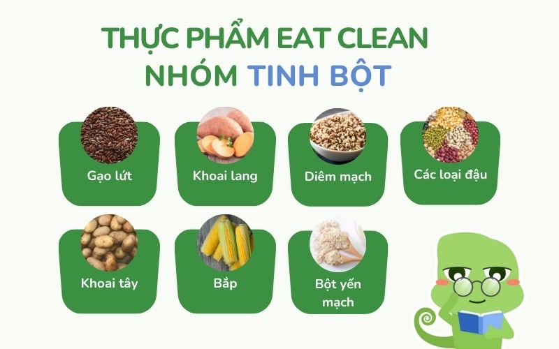 Tinh bột là nguồn năng lượng chính, cung cấp thêm vitamin, khoáng chất và chất xơ