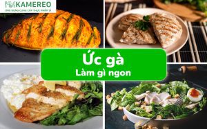 Ức gà làm gì ngon? Tổng hợp các món ăn ngon từ ức gà bổ dưỡng