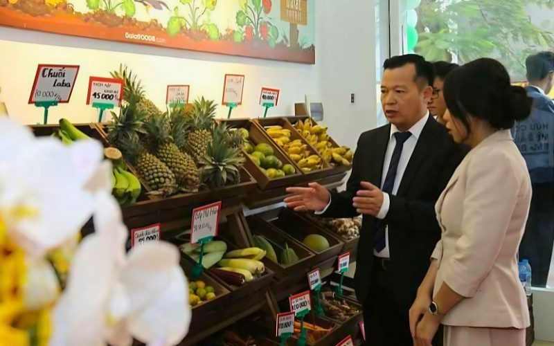 Dalat FOODIE specializes in providing fresh and dried organic products