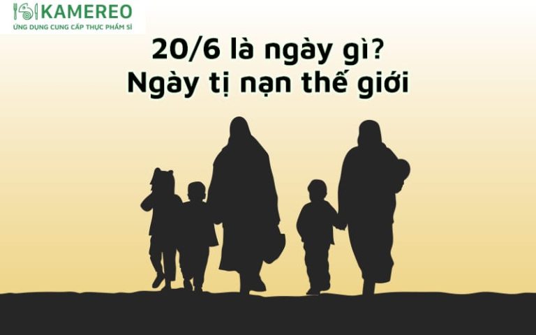 20 tháng 6 là ngày gì​? Nguồn gốc và ý nghĩa ngày Tị nạn Thế Giới