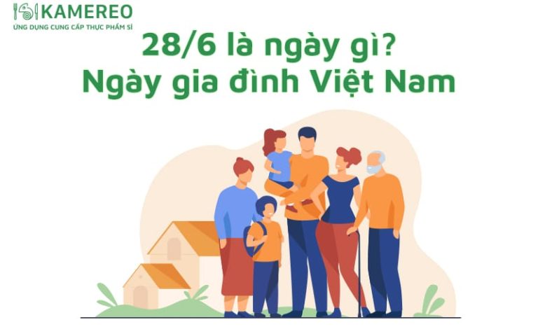 28/6 là ngày gì​? Lịch sử và ý nghĩa ngày Gia đình Việt Nam