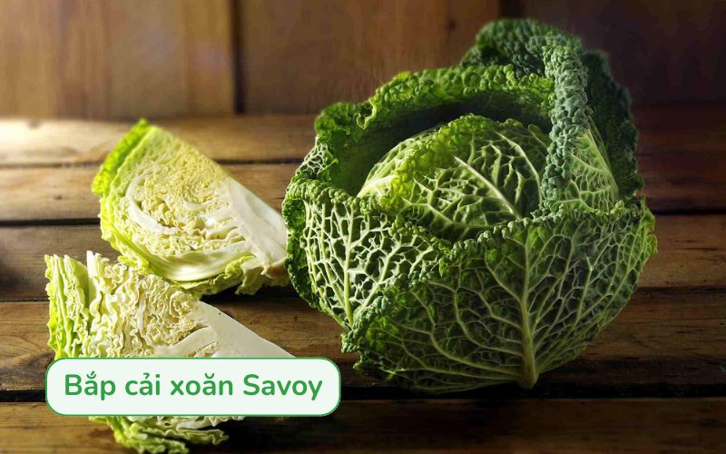 Savoy với lá xoăn lượn sóng đặc trưng