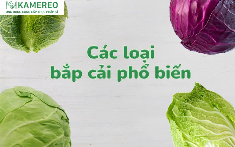Các loại bắp cải phổ biến và món ăn ngon từ bắp cải