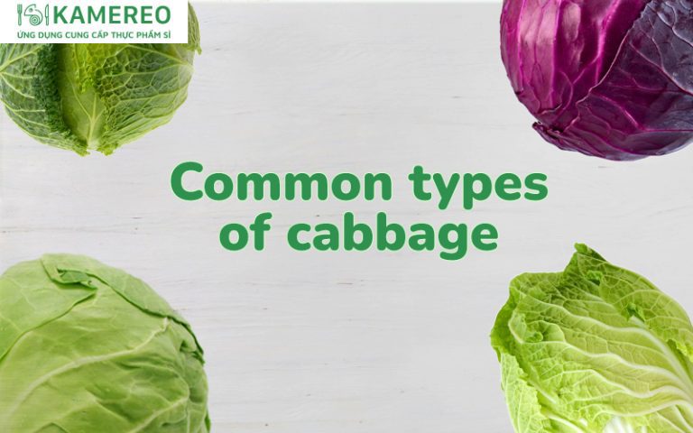 Popular Cabbage Varieties and Delicious Cabbage Dishes