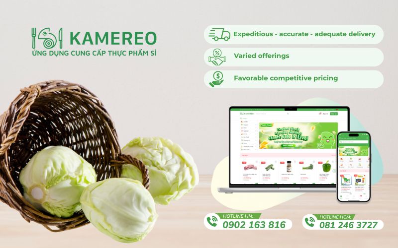 Kamereo is a wholesale supplier of fresh, good-value cabbage