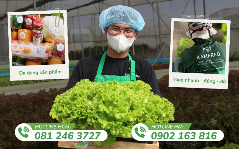 Kamereo đáp ứng nhu cầu rau sạch cho các doanh nghiệp F&B ở Hà Nội