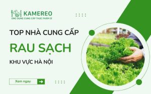 Địa chỉ chuyên cung cấp rau sạch tại Hà Nội