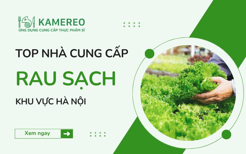Địa chỉ chuyên cung cấp rau sạch tại Hà Nội