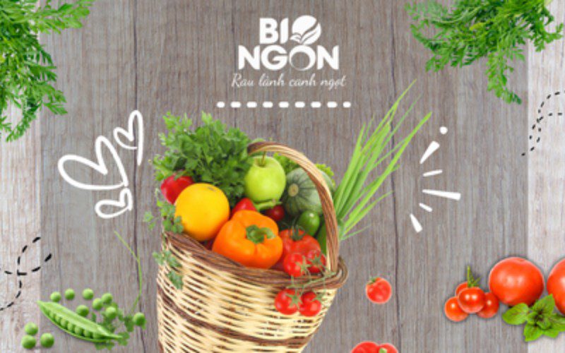 Bio Ngon đáp ứng các yêu cầu rau sạch khắt khe trên thị trường