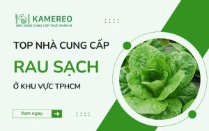 Đơn vị cung cấp rau sạch Sài Gòn