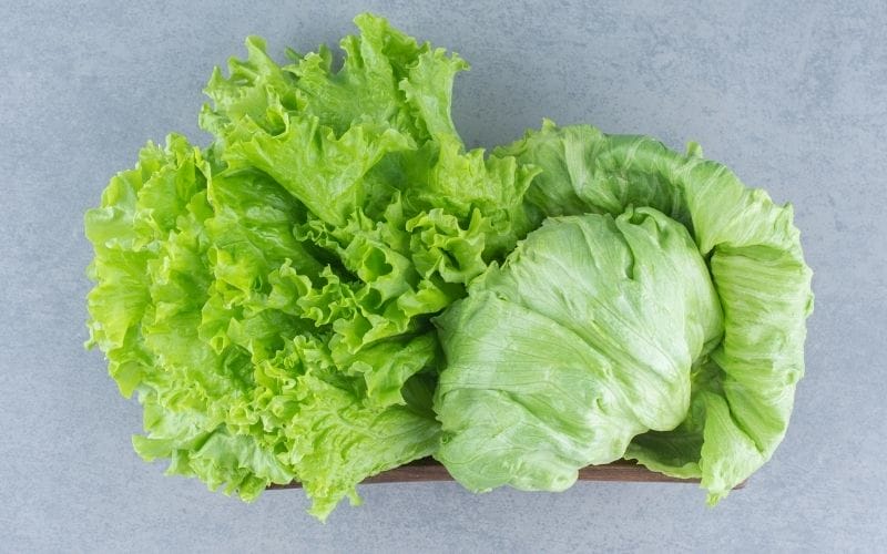 Lựa chọn rau xà lách tươi xanh, giòn và không úa vàng