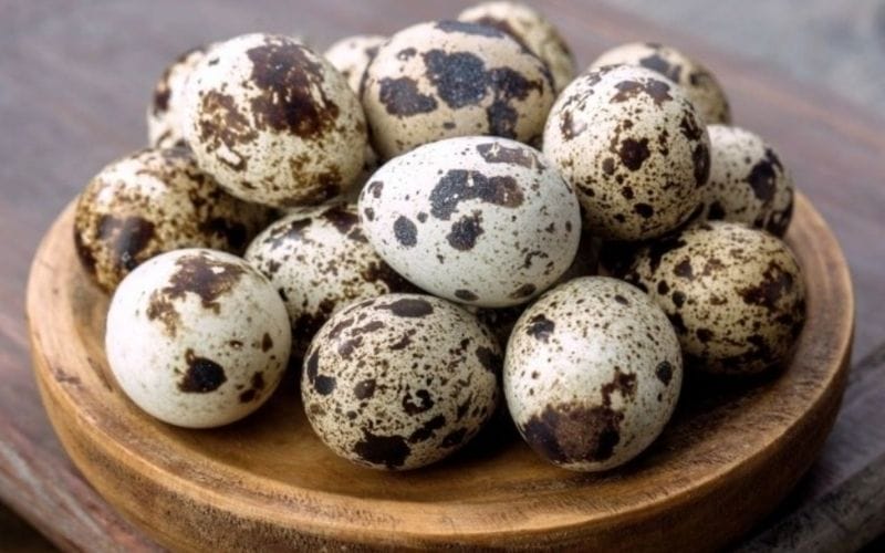 Trứng cút tươi có vỏ thô ráp, không có tiếng động khi lắc nhẹ