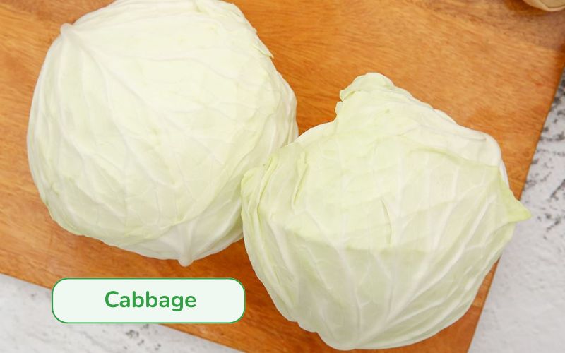 White cabbage with thin, easily recognizable ivory leaves