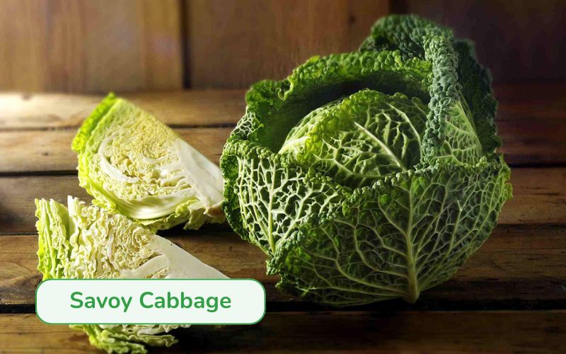Savoy with characteristic crinkled, wavy leaves