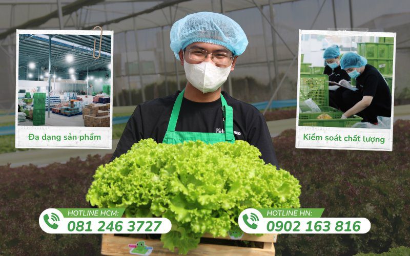 Kamereo kết nối với nhiều vườn rau Đà Lạt chất lượng