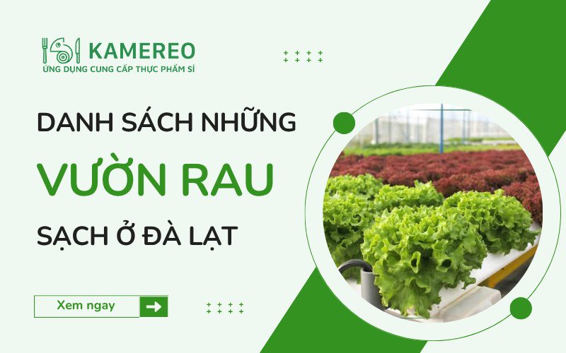 Vườn rau sạch ở Đà Lạt được ưa chuộng