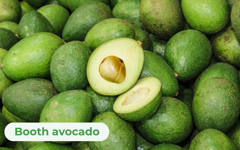 Booth avocados are moderately priced, making them a popular choice among customers