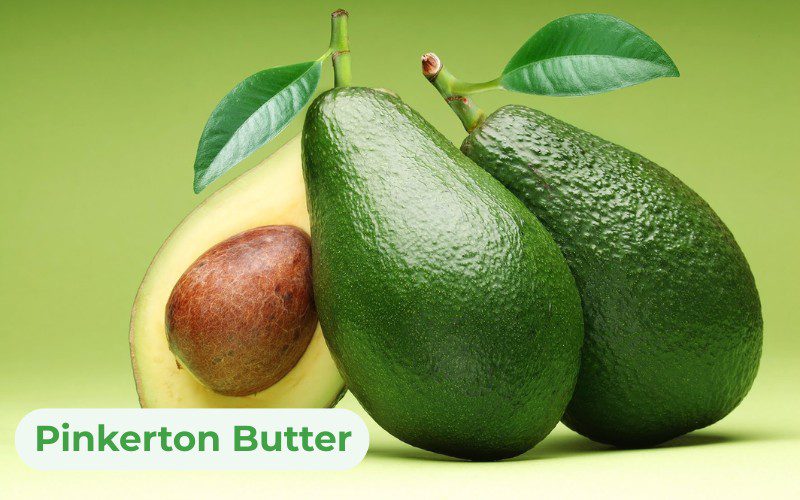 Pinkerton avocados have a flesh-to-seed ratio of approximately 70%