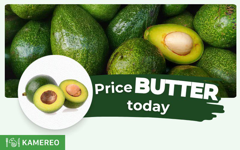 How Much is 1kg of Avocado? Today’s Avocado Prices