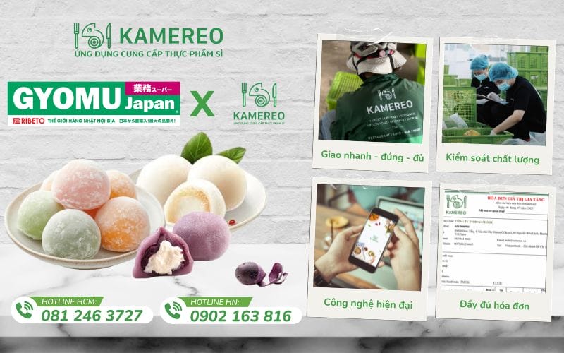 Kamereo - Supplier of Affordable Japanese Mochi