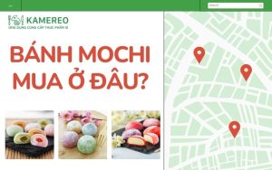 10+ địa điểm mua bánh mochi Nhật Bản ngon, giá tốt