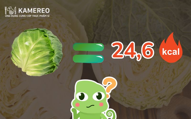 Bắp cải bao nhiêu calo? Ăn bắp cải có giúp giảm cân không?