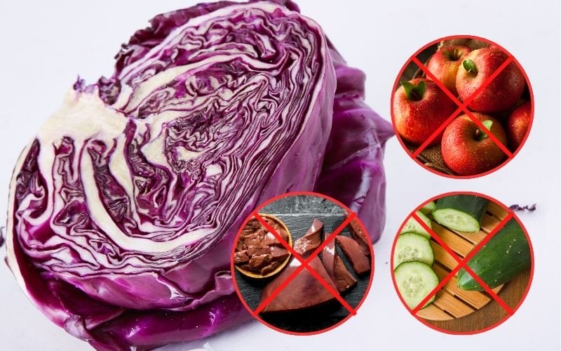 Tránh kết hợp bắp cải tím với táo, dưa chuột hoặc gan động vật