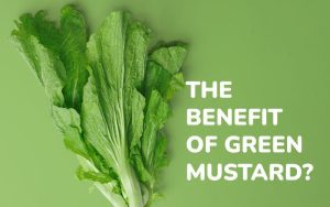 What are the Benefits of Mustard Greens? Advantages and Disadvantages of Eating Mustard Greens
