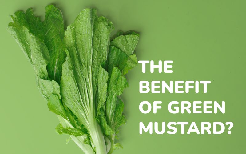 What are the Benefits of Mustard Greens? Advantages and Disadvantages of Eating Mustard Greens