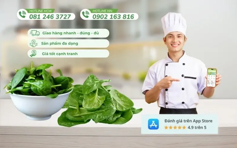 Kamereo cung cấp cải bó xôi và rau củ tươi sạch, chất lượng cao cho F&B