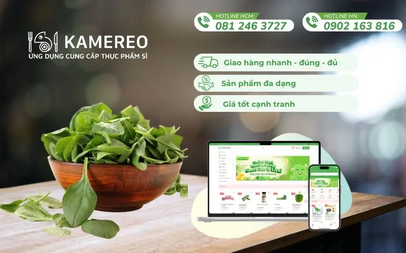 Cải bó xôi tươi ngon, giá tốt, hóa đơn đầy đủ – chỉ có tại Kamereo
