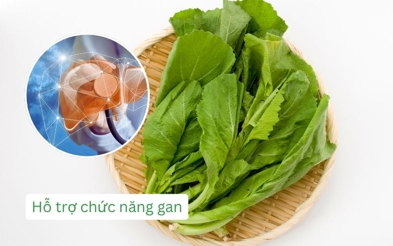 Chất diệp lục trong cải xanh hỗ trợ thải độc gan và ngăn ngừa ung thư