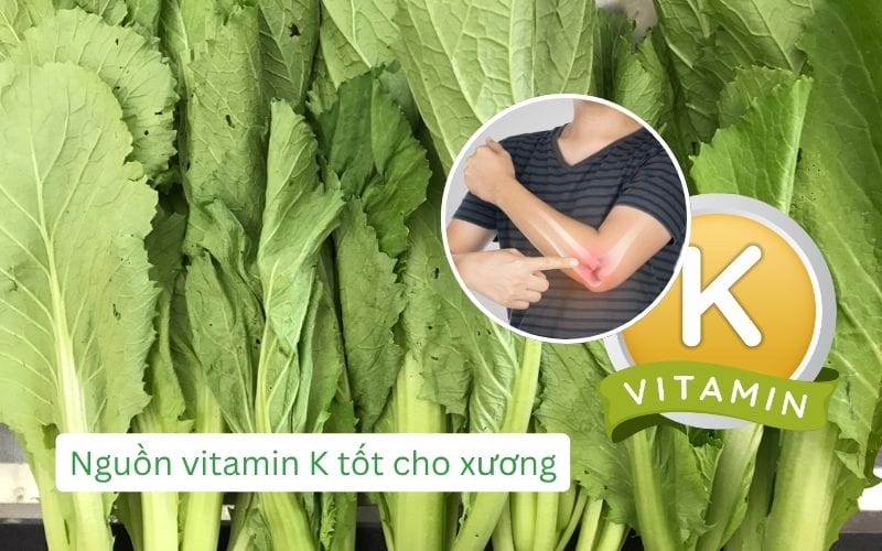 Vitamin K trong cải xanh giúp xương chắc khỏe và giảm viêm hiệu quả