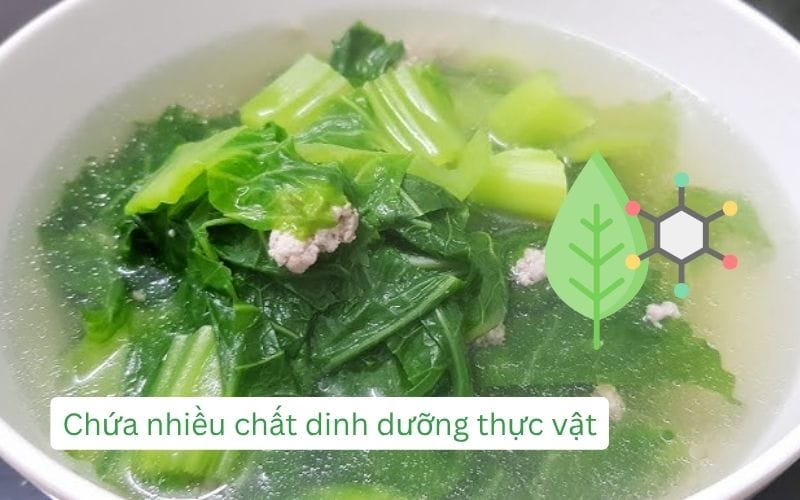 Phytochemical và glucosinolate trong cải xanh giúp ngăn ngừa ung thư