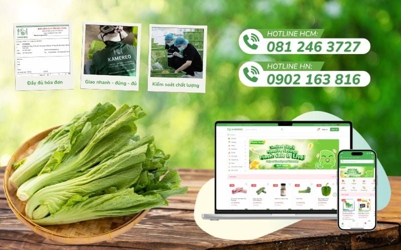 Mua cải bẹ xanh giá tốt, đầy đủ hóa đơn VAT cho doanh nghiệp F&B tại Kamereo