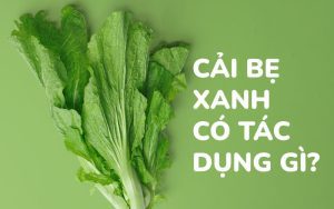 Cải bẹ xanh có tác dụng gì​? Lợi ích và tác hại khi ăn cải xanh