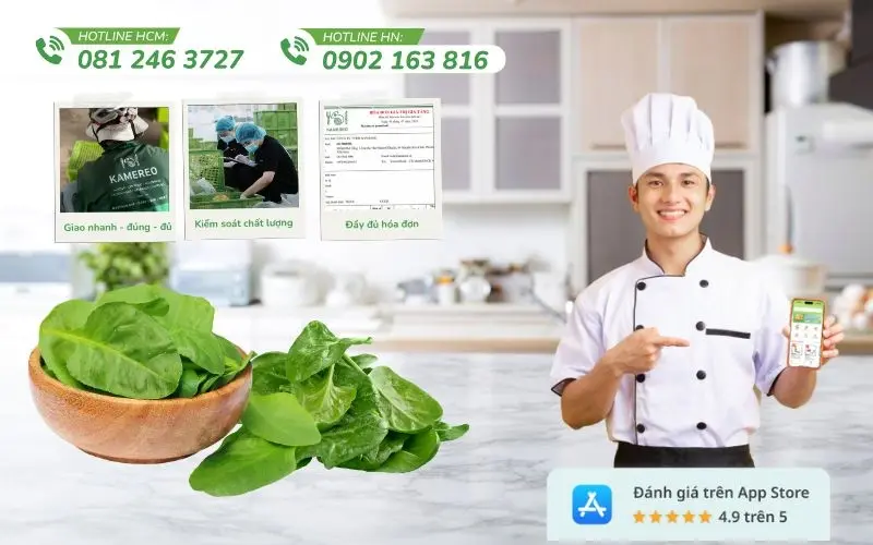 Kamereo cung cấp cải bó xôi chất lượng, đầy đủ hóa đơn cho doanh nghiệp
