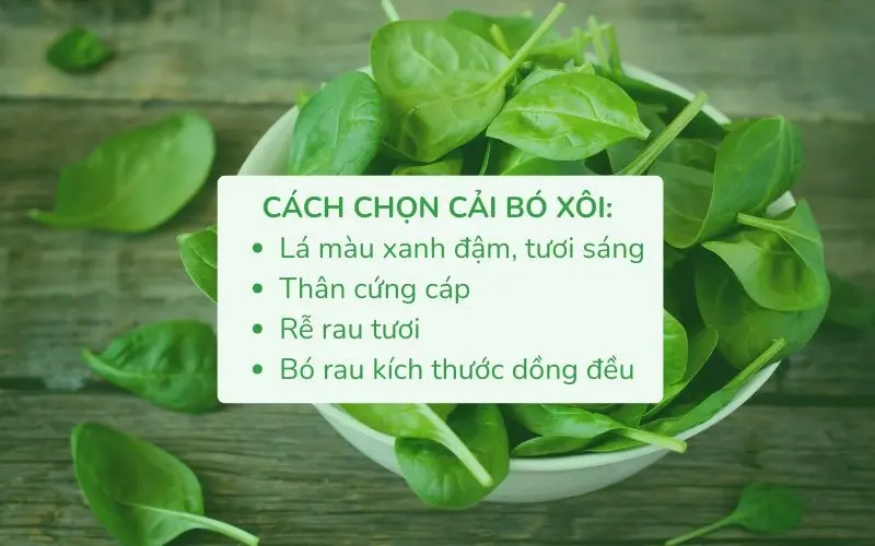 Lá xanh đậm, thân cứng, rễ tươi là dấu hiệu của cải bó xôi ngon