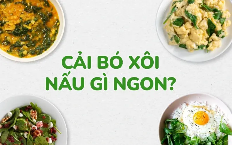 Cải bó xôi nấu gì ngon? 10+ món ăn nên nấu với cải bó xôi