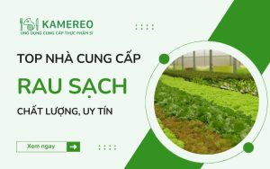 Cần tìm nhà cung cấp rau sạch phải làm như thế nào?